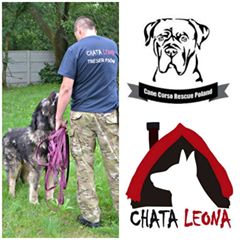 Ivan - Puszek okruszek w Bielicach mieszka mieszka , W Chacie Leona spotkacie teraz naszego gryzonia.